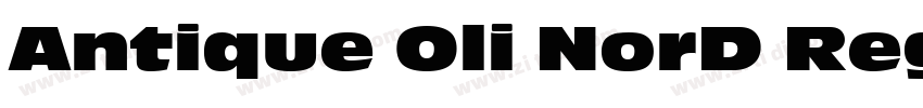 Antique Oli NorD Reg字体转换